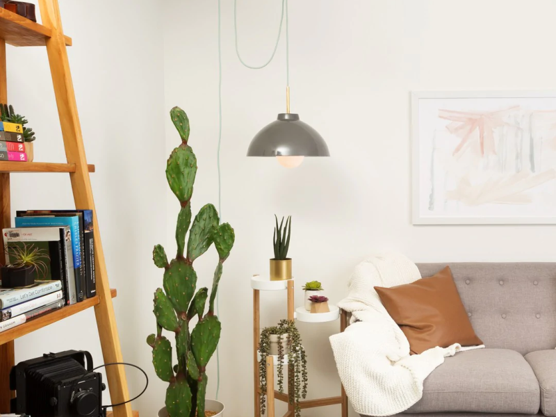 Plug in Swag Pendant Light