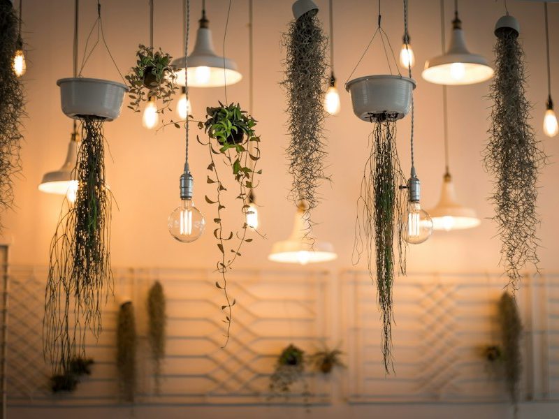 Shedding Light on Classic Lighting: Timeless Fixtures for Modern Homes